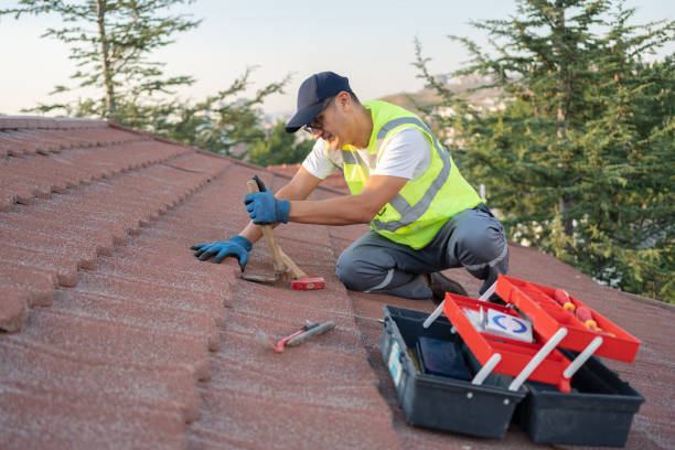 Best Commercial Roofing Services  in Todd Creek, CO